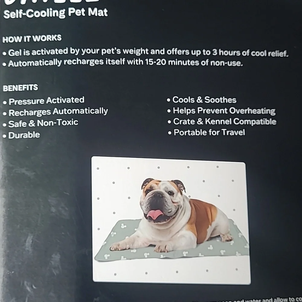 Disney Mickey Mouse Chillz Pet Mat